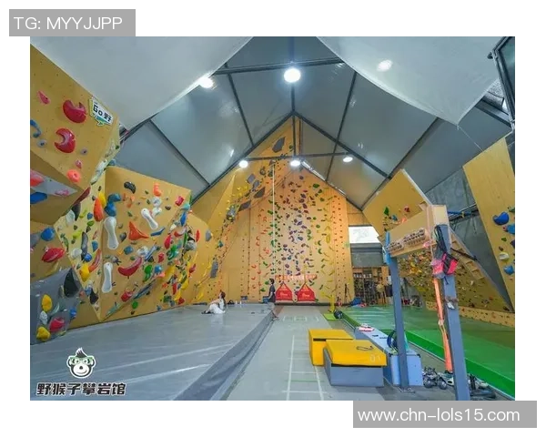 南京攀岩队在极限运动会中的灵活性表现分析与点评