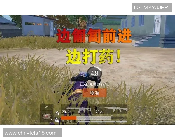 和平精英V5版本深度解析与反击策略全面揭秘